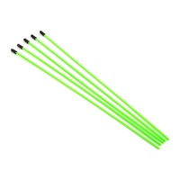 ProTek RC Antenna Tube w/Caps (Flo Green) (5)